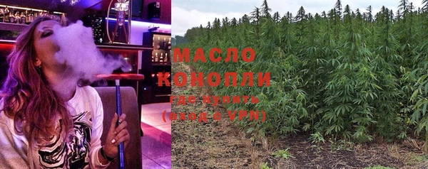 прущие грибы Богданович