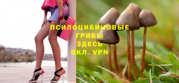 эйфоретик Богородск