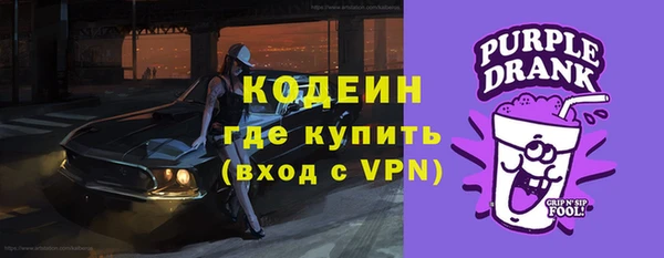 прущие грибы Богданович