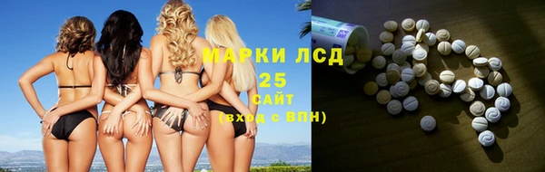 прущие грибы Богданович