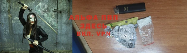 прущие грибы Богданович