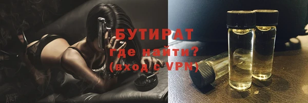 прущие грибы Богданович
