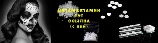 прущие грибы Богданович