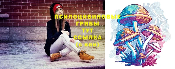 эйфоретик Богородск