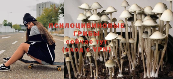 эйфоретик Богородск