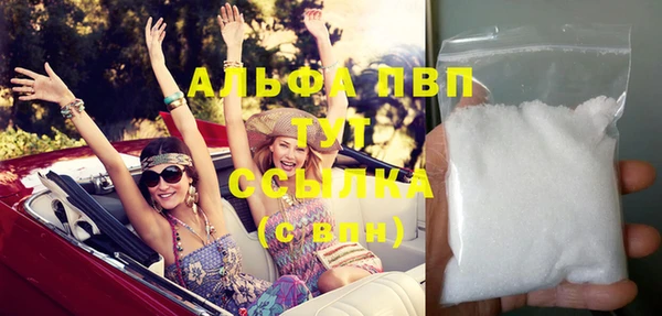 прущие грибы Богданович