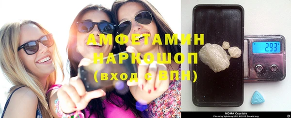 прущие грибы Богданович